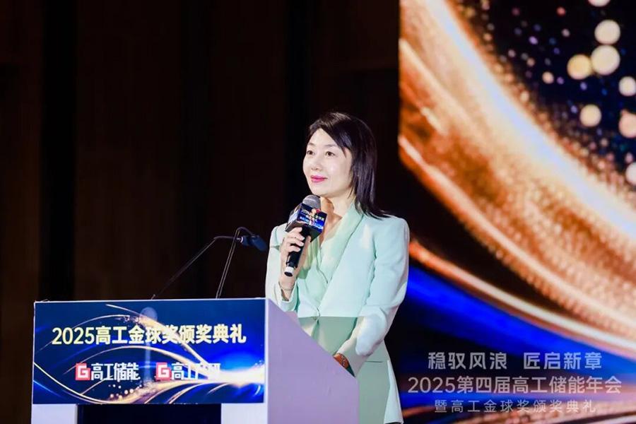 价值竞争时代来临，尊龙凯时人生就是搏储能Nexus AI技术荣获两项行业大奖